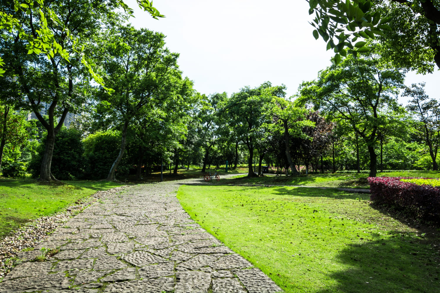 amenagement paysagiste exterieur en Haute-Vienne les jardins de taurion