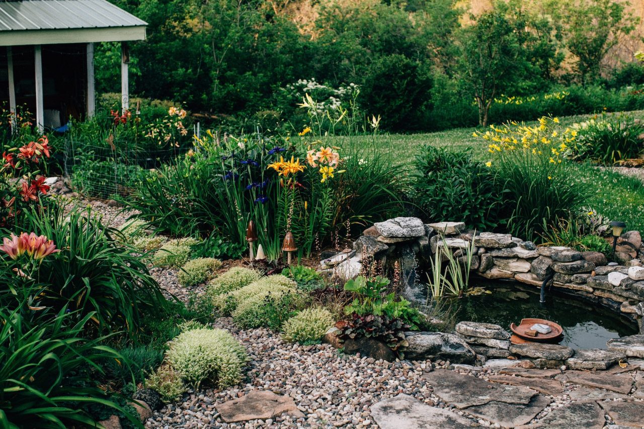 jardin exterieur avec fleur bassin d'eau les jardins du Taurion en Haute-Vienne