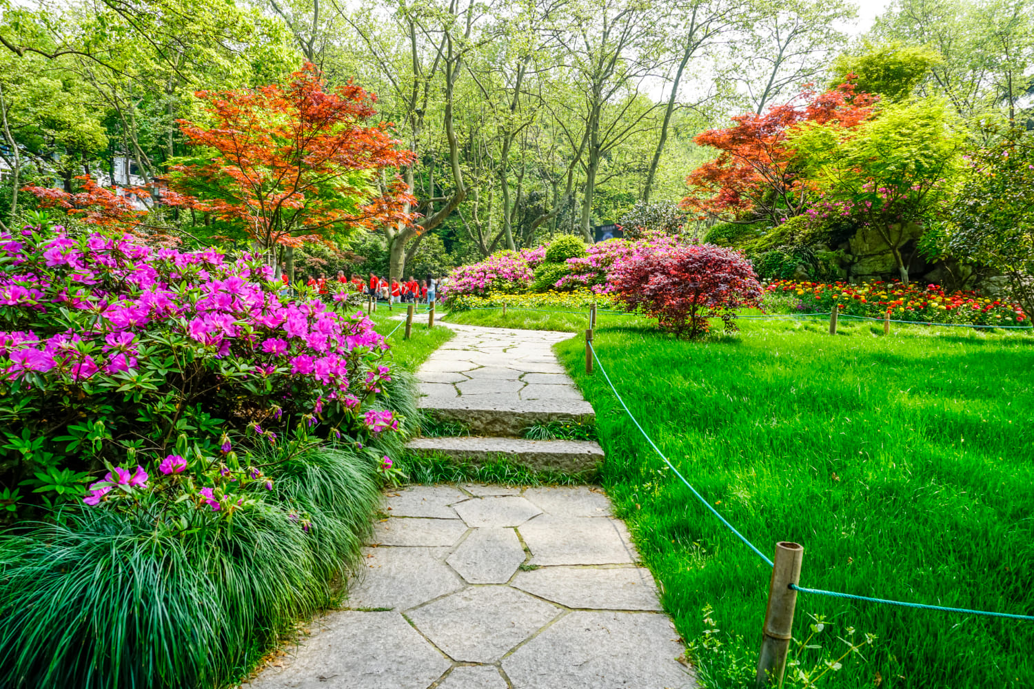 prestation paysagiste jardin aménagement exterieur les jardins du Taurion en Haute-Vienne