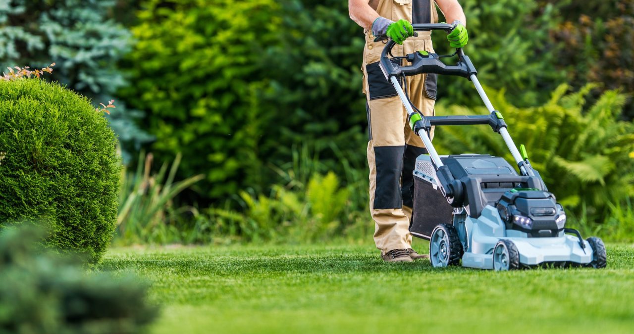 professionnel entretien pelouse les jardins du Taurion en Haute-Vienne
